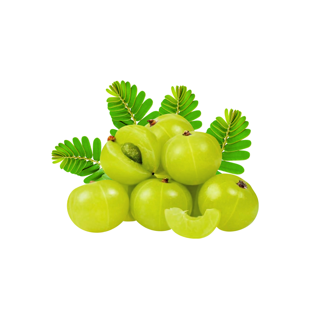 Indian Gooseberry Amla — Ayurvedic Hair Care Ingredient